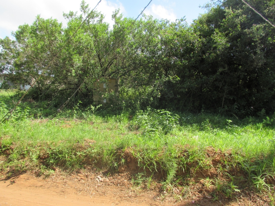 0 Bedroom Property for Sale in Bathurst Eastern Cape
